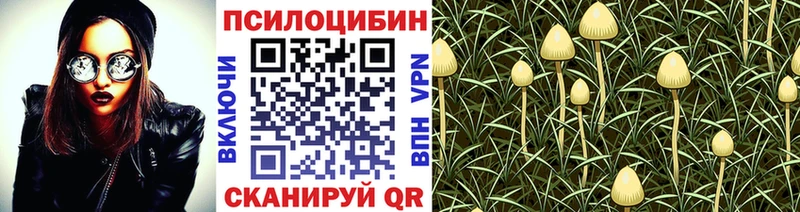 ссылка на мегу рабочий сайт где купить наркоту Заполярный Галлюциногенные грибы мухоморы